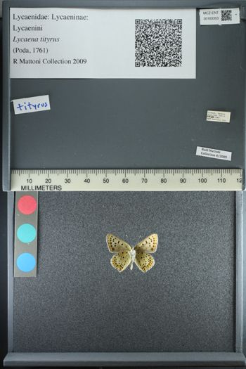 Media type: image;   Entomology 183353